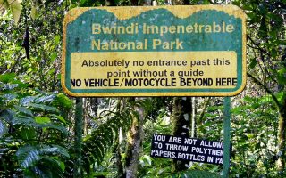 Affordable 3 Days Bwindi Gorilla Safari