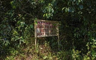 Uganda wildlife facts