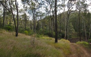 Bokora Corridor Game Reserve