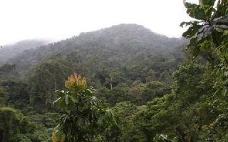The 4 Sectors of Bwindi Impenetrable National Park