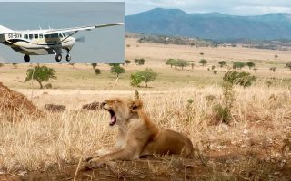 3 Days Kidepo National Park Safari