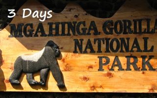 3 Days Mgahinga Gorilla Trekking