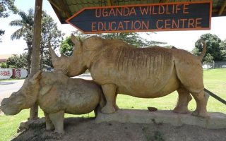 3 Days Uganda Ssese Islands Tour