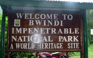 How to access Bwindi Impenetrable National Park