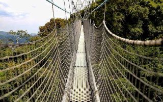 Canopy Walk in Nyungwe Forest
