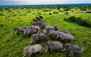 Most Visited Sectors in Queen Elizabeth National Park