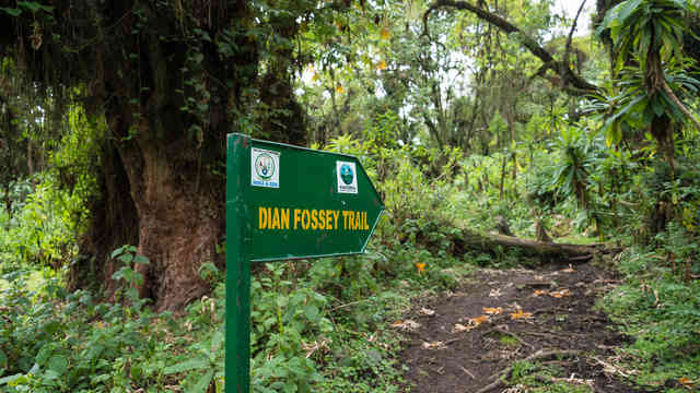 Dian Fossey Hike