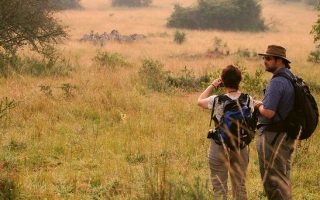 Uganda Walking Safari