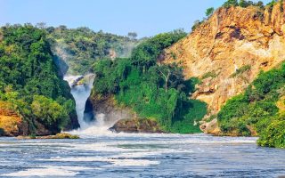 8 Days Uganda Primates and Wildlife Safari