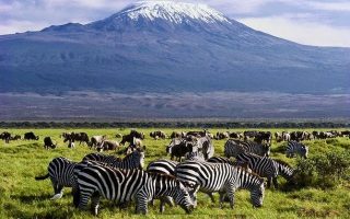 2 Days Amboseli National Park Safari