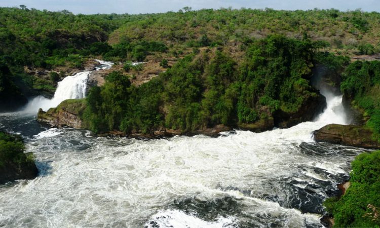 7 Days Kidepo & Murchison Falls Safari