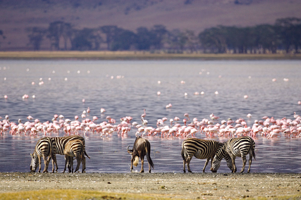 3 Days Lake Nakuru Wildlife Safari