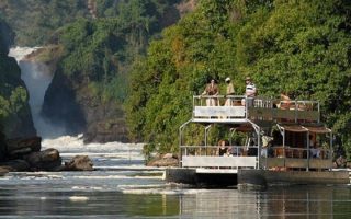 East Madi Wildlife Reserve