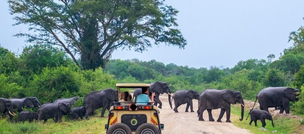 How to get to Murchison Falls National Park