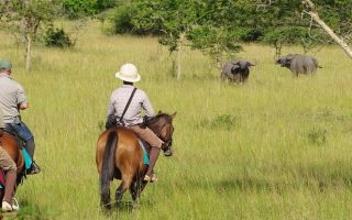 Night Game Drives in Lake Mburo National Park