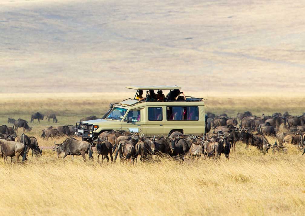 15 Days Magnificent Kenya and Tanzania Safari