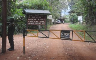 2021 Park Entrance fees for Bwindi Impenetrable National Park