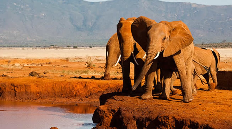 3 Days Tsavo East National Park Safari