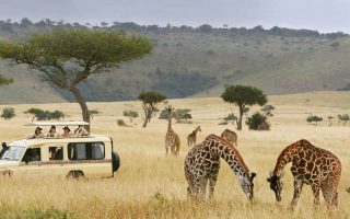 5 Days Tanzania Wildlife Tour