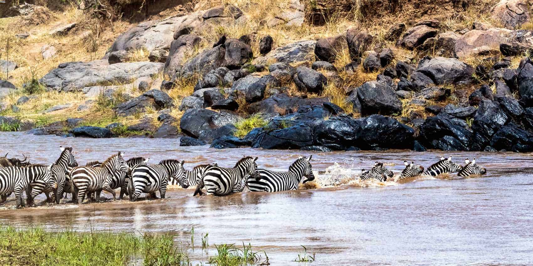 4 Days Masai Mara Luxury Safari