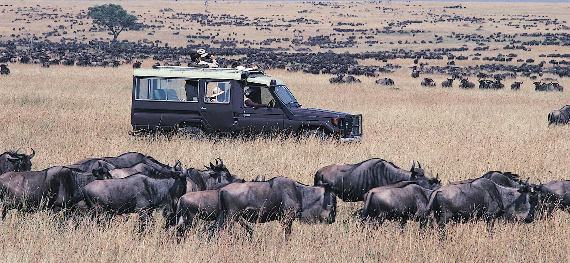 Visit Maasai Mara National Reserve 
