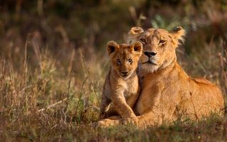 7 Days Kenya Wildlife Adventure