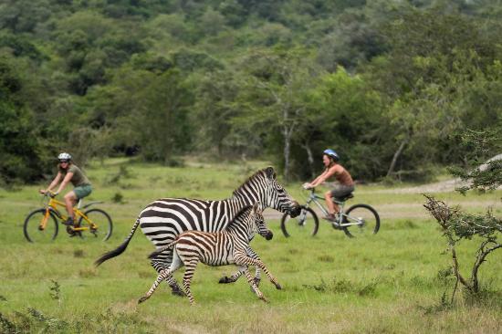 Cycling tours in Uganda