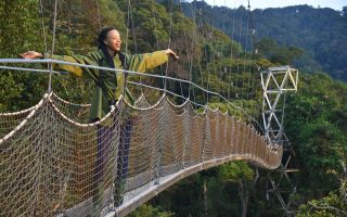 Canopy Walk in Nyungwe Forest National Park