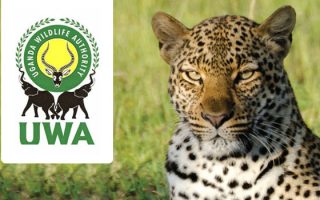Uganda Wildlife Authority