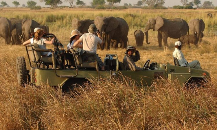 Facts About Kidepo Valley National Park