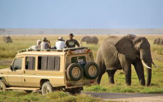Things to know about game drives