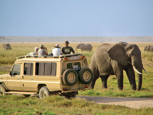Amboseli Game Drive