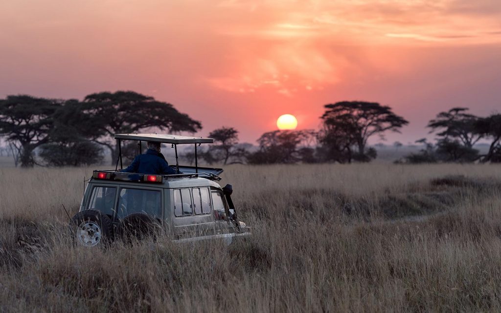 Uganda Night Game Drive Safari