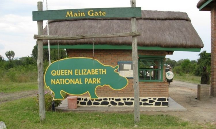  Park Entry Fees For Queen Elizabeth National Park