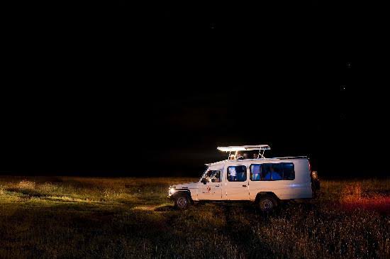 Uganda Night Game Drive Safari