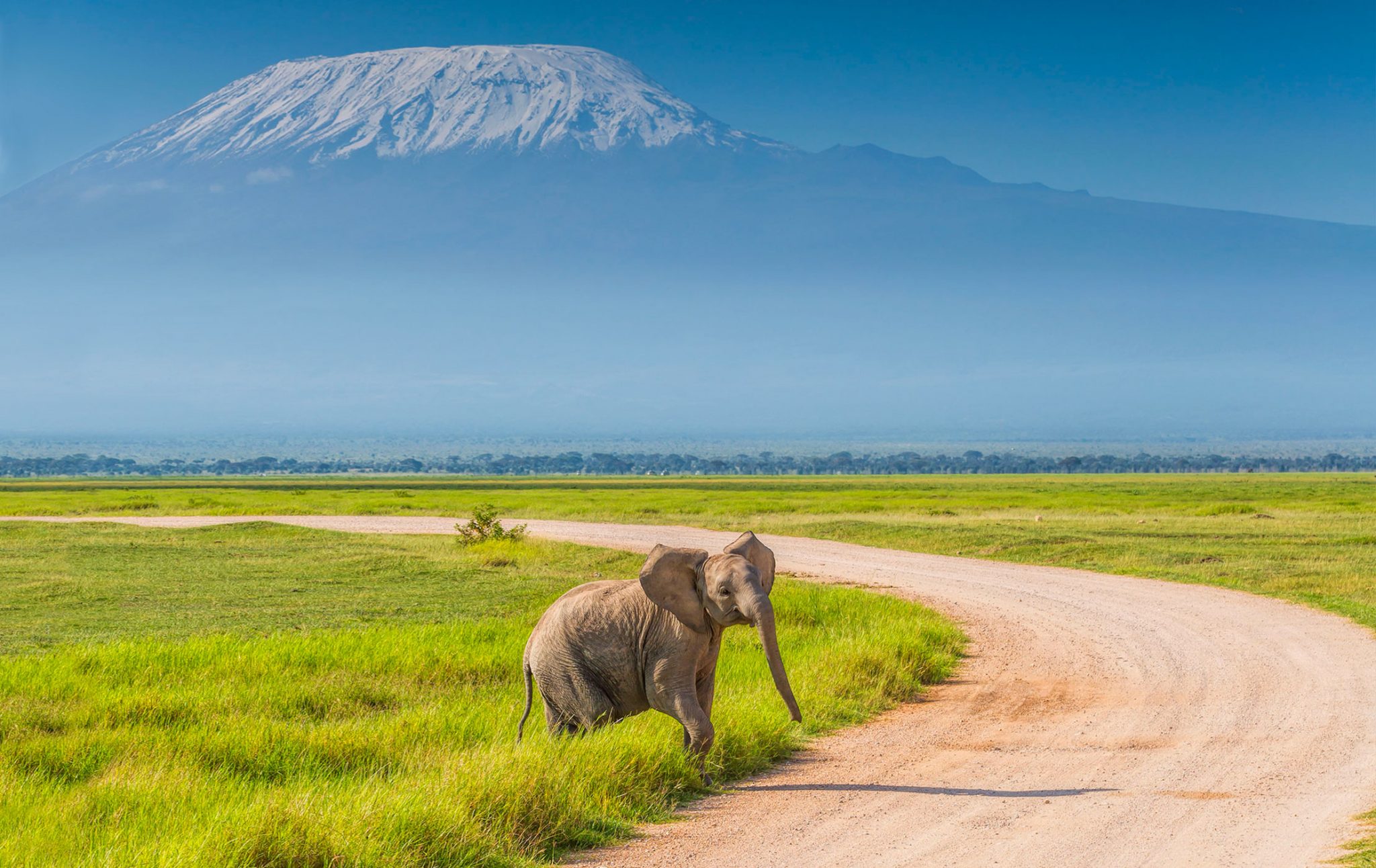 Getting To Amboseli National Park Wildlife Kenya Safaris Kenya