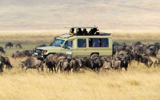 How many Days i need for Best Safari in Serengeti National Park