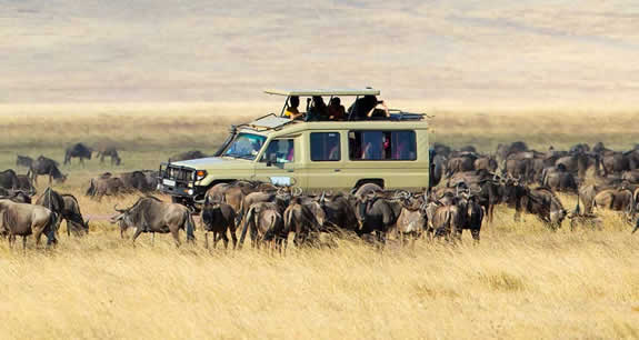 How many Days i need for Best Safari in Serengeti National Park 