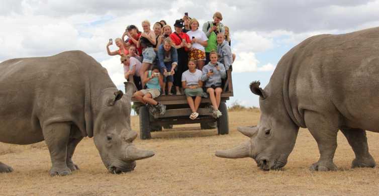 Top Things to Do at Ol Pejeta Conservancy