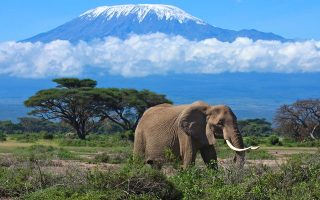 7 Days Kenya Major Game Parks