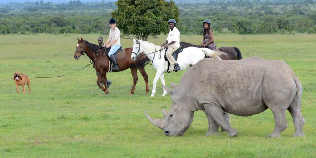 Top Things to Do at Ol Pejeta Conservancy