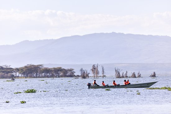 Lake Naivasha Boat Ride Tour