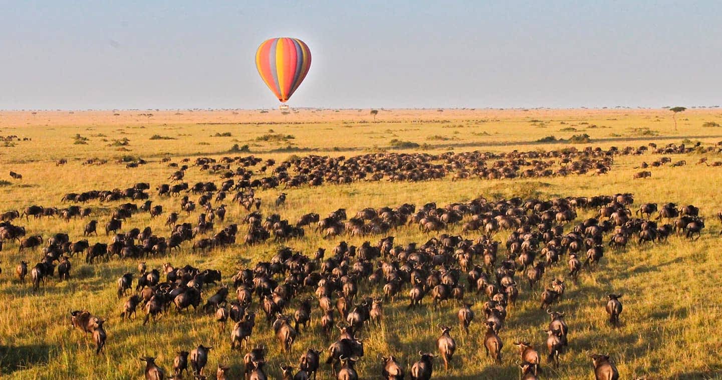 Hot Air Balloon Safari in Serengeti National Park