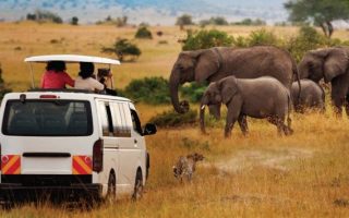 6 Days Kenya Safari