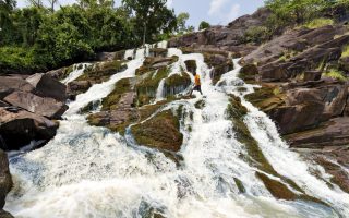 What do you do on landscape tours?