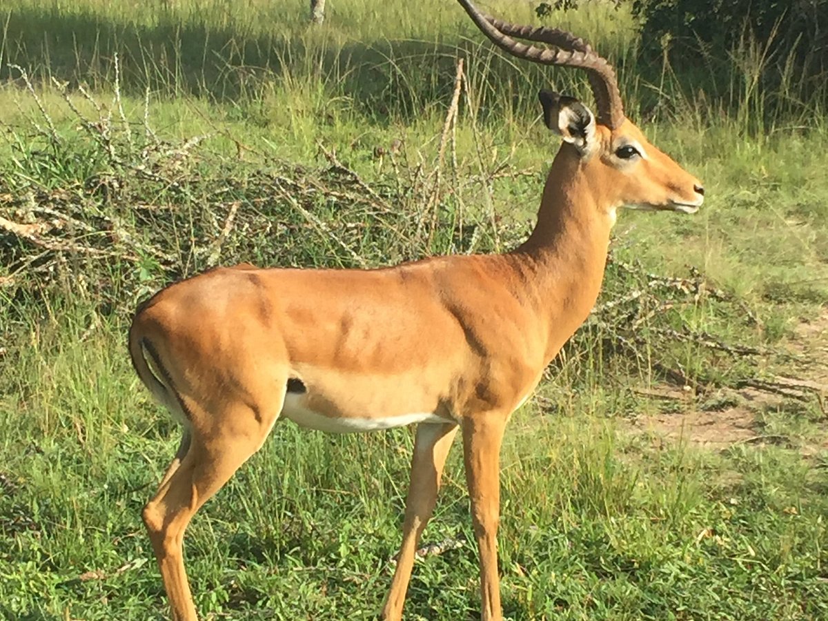 Uganda a hidden gem Uganda Safaris Tours Uganda Tours