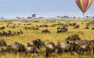 8 Days Kenya Wildlife Safari Highlights