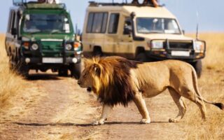 9 Days Tanzania and Zanzibar Safari