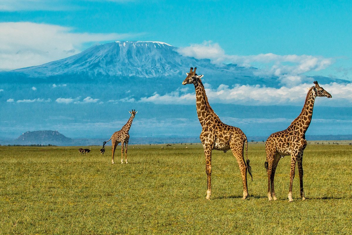 Least Visited national park in Kenya