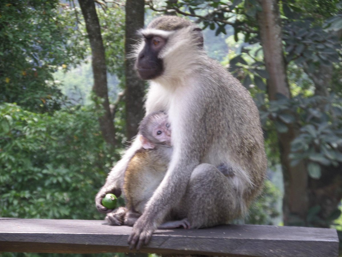 What Tourist Activities Are There To Do In Lake Nkuruba?